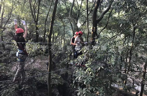 叢林探險(xiǎn)樂園