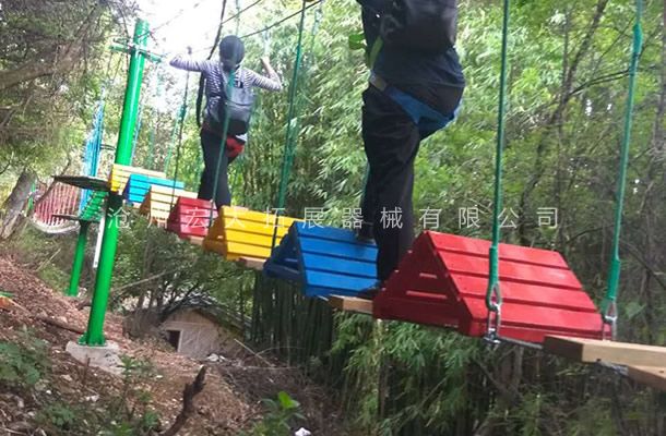 叢林探險(xiǎn)樂園