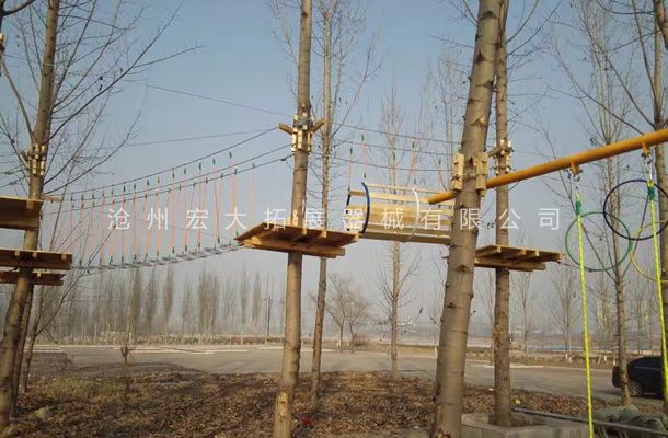 山東省棗莊叢林探險器材，樹上拓展探險設備安裝完工