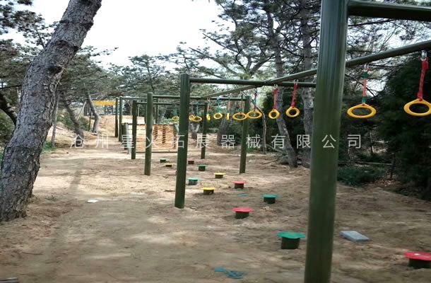 青少年障礙賽B-拓展器材生產廠家-場地拓展器械