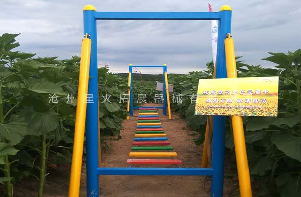 青少年拓展訓練器材