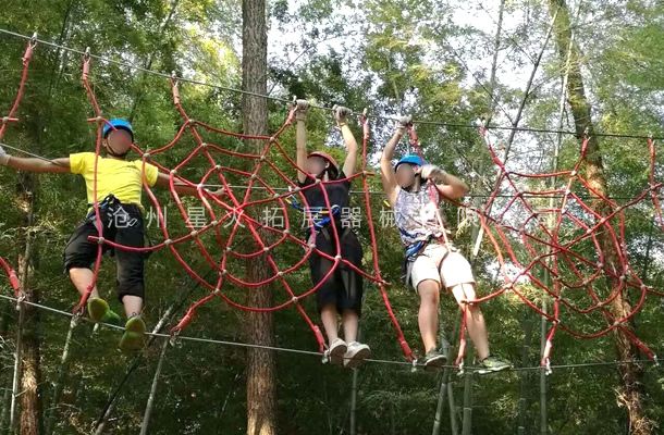 叢林探險樂園