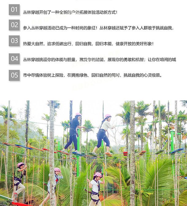 叢林探險(xiǎn)，樹上探險(xiǎn)實(shí)景展示